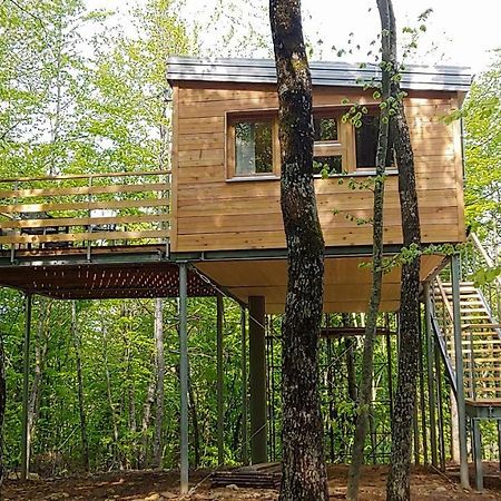 Treehouse Lika 2 Βίλα Medak Εξωτερικό φωτογραφία